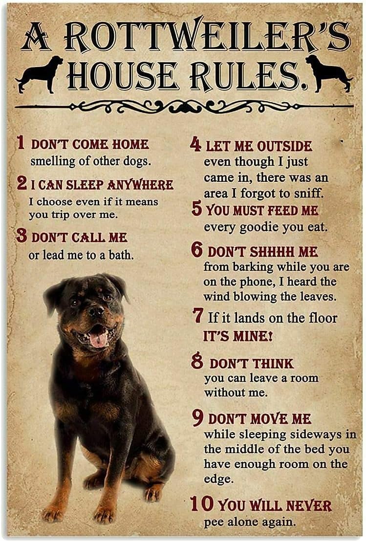 Home Office New Rules - Bir Rottweiler'in Ev Kuralları Metal Tabela