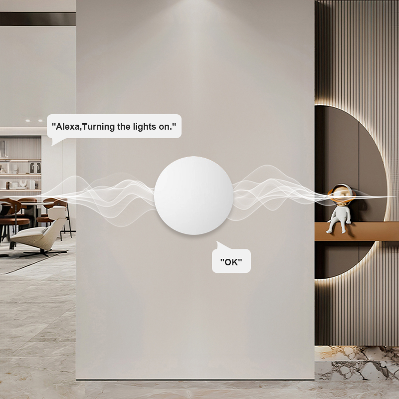 ZigBee Akıllı Kablosuz Düğme S - Home Office Google incelemesi ve fiyatı